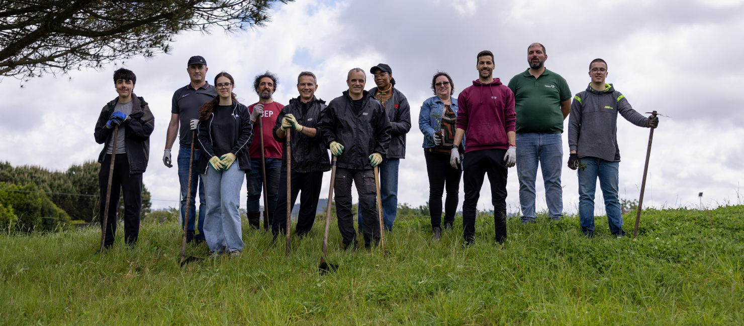 Comunidade do ISEP participa em iniciativa de plantação de árvores  